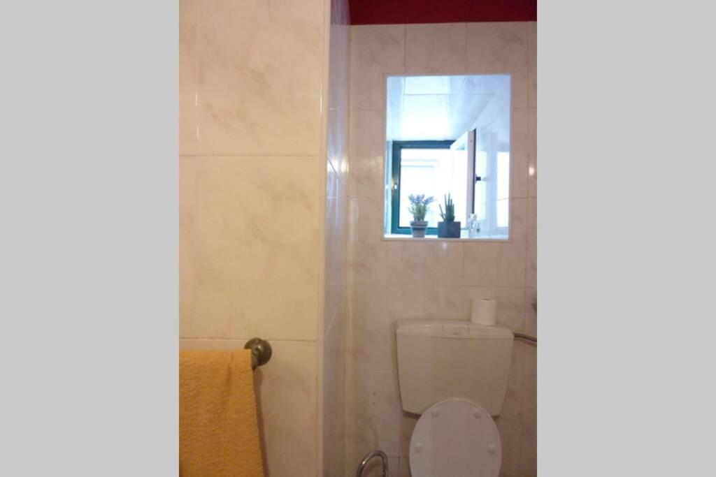 Casa Da Carqueja 1 Leilighet Coimbra Eksteriør bilde